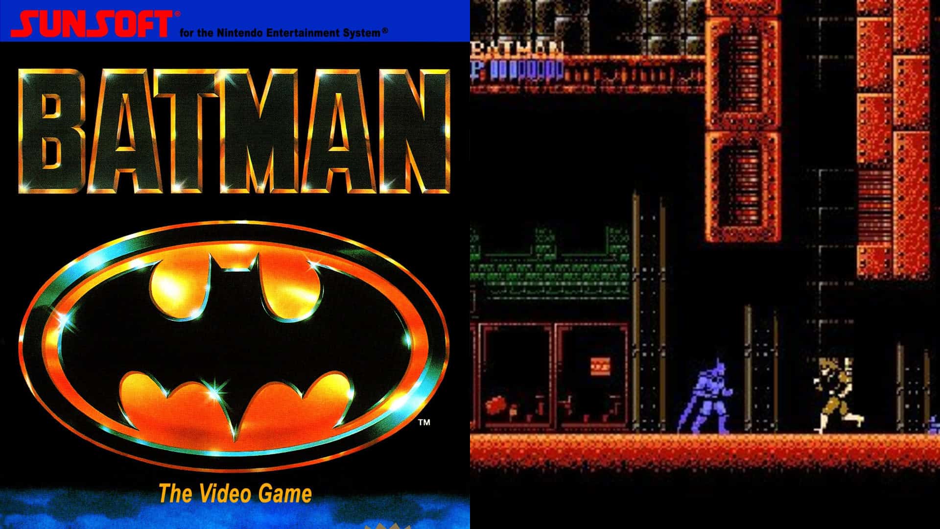 Batman: The Video Game