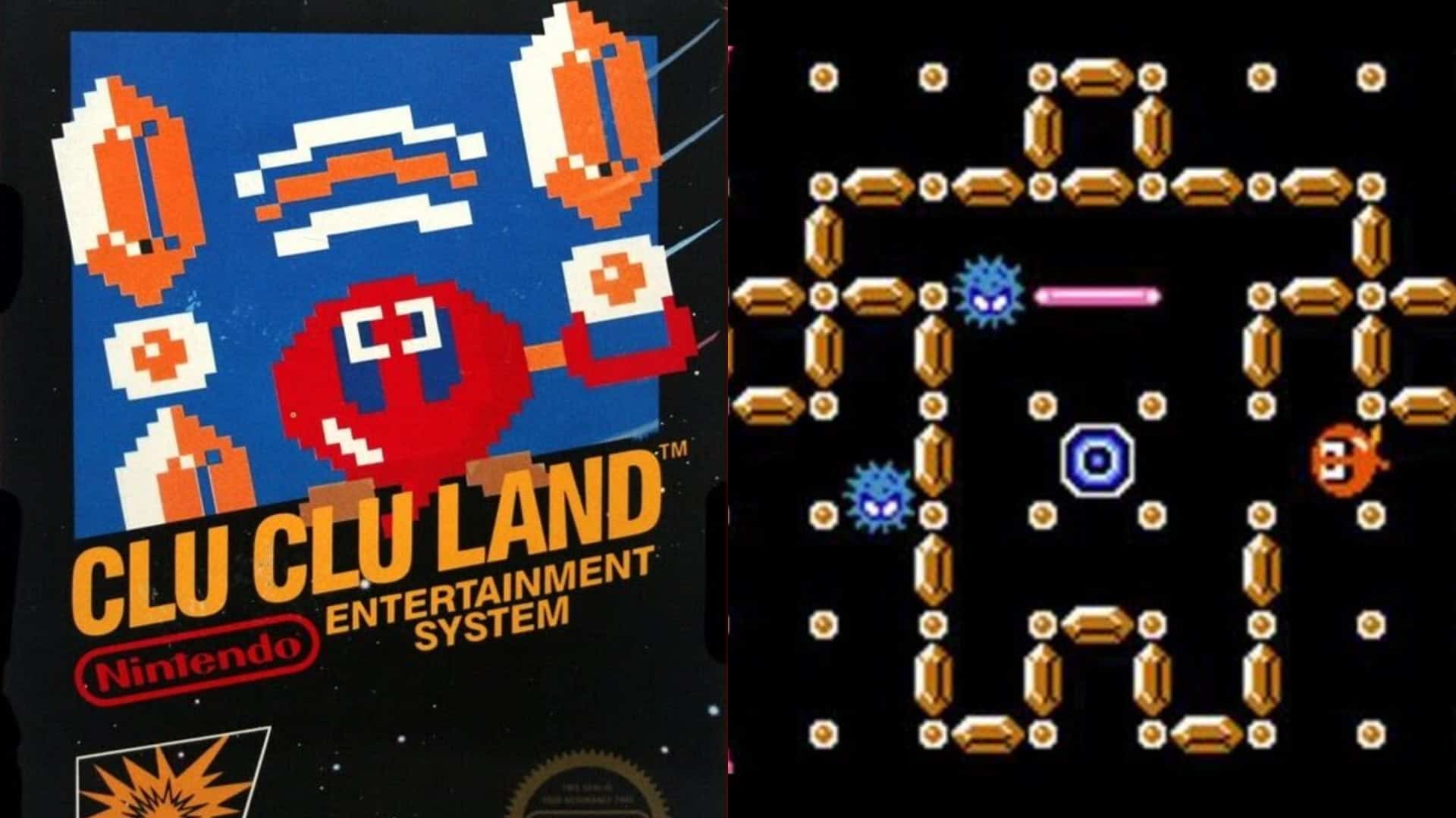 Clu Clu Land