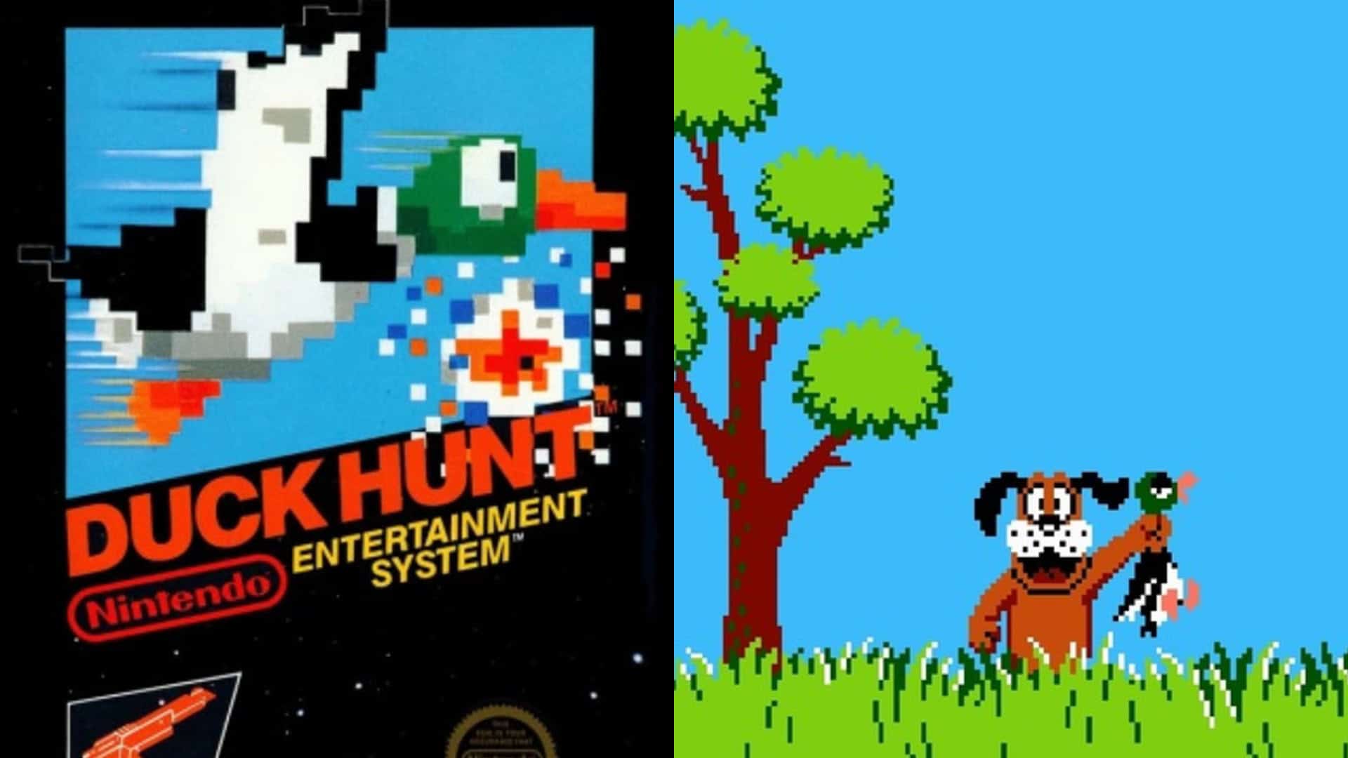 2. Duck Hunt