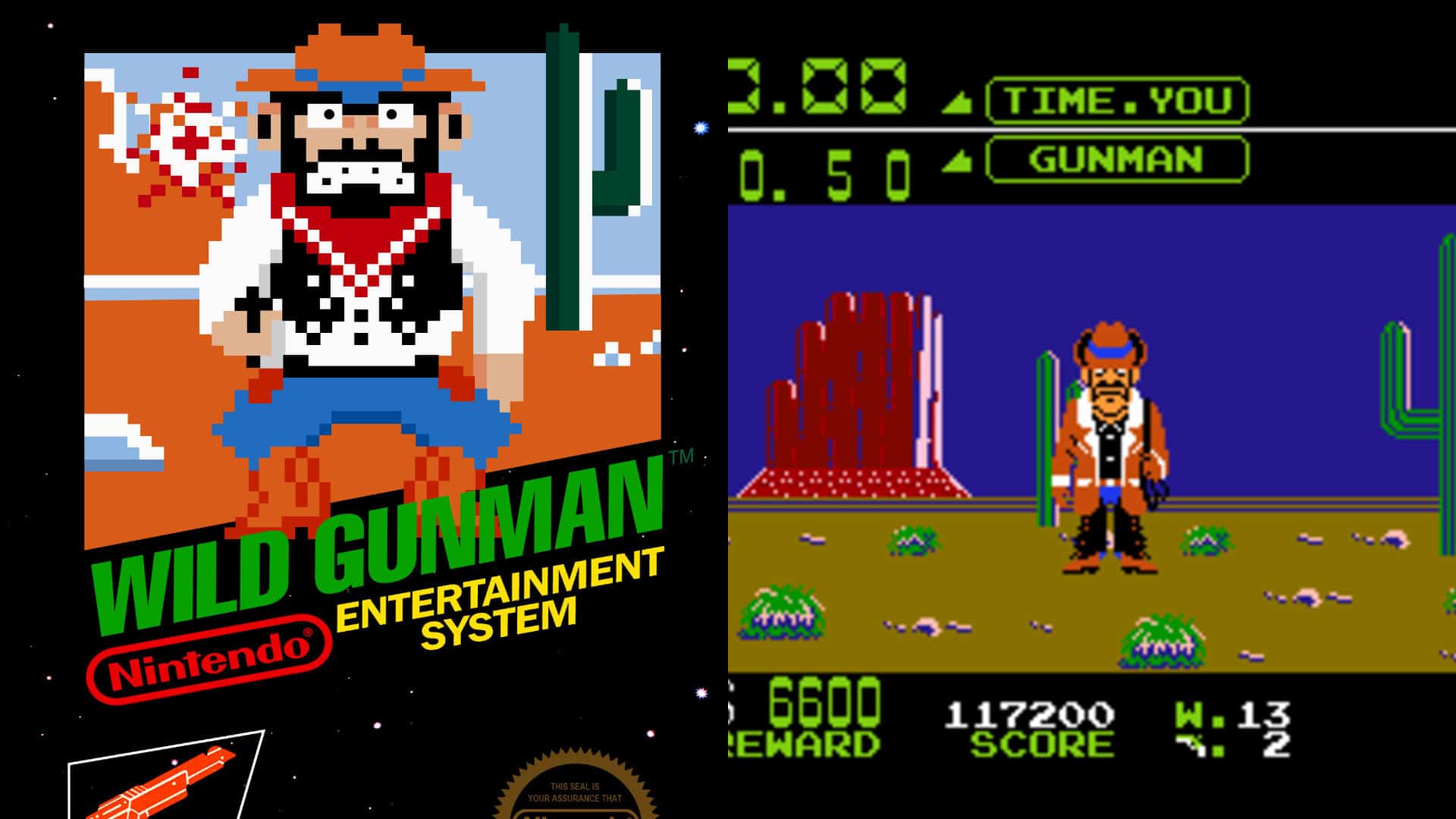 Wild Gunman