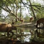 Animals and Wildlife Might Play a Major Role in GTA 6
