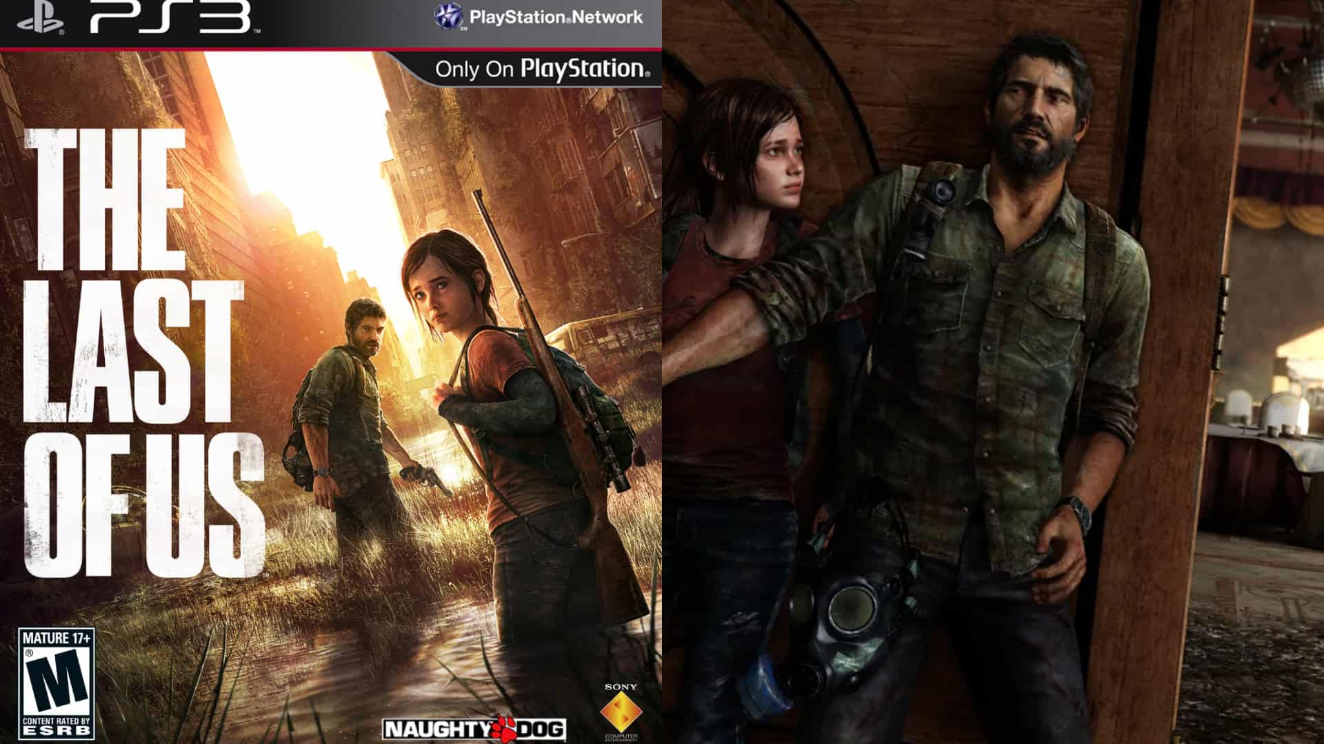 The Last of Us