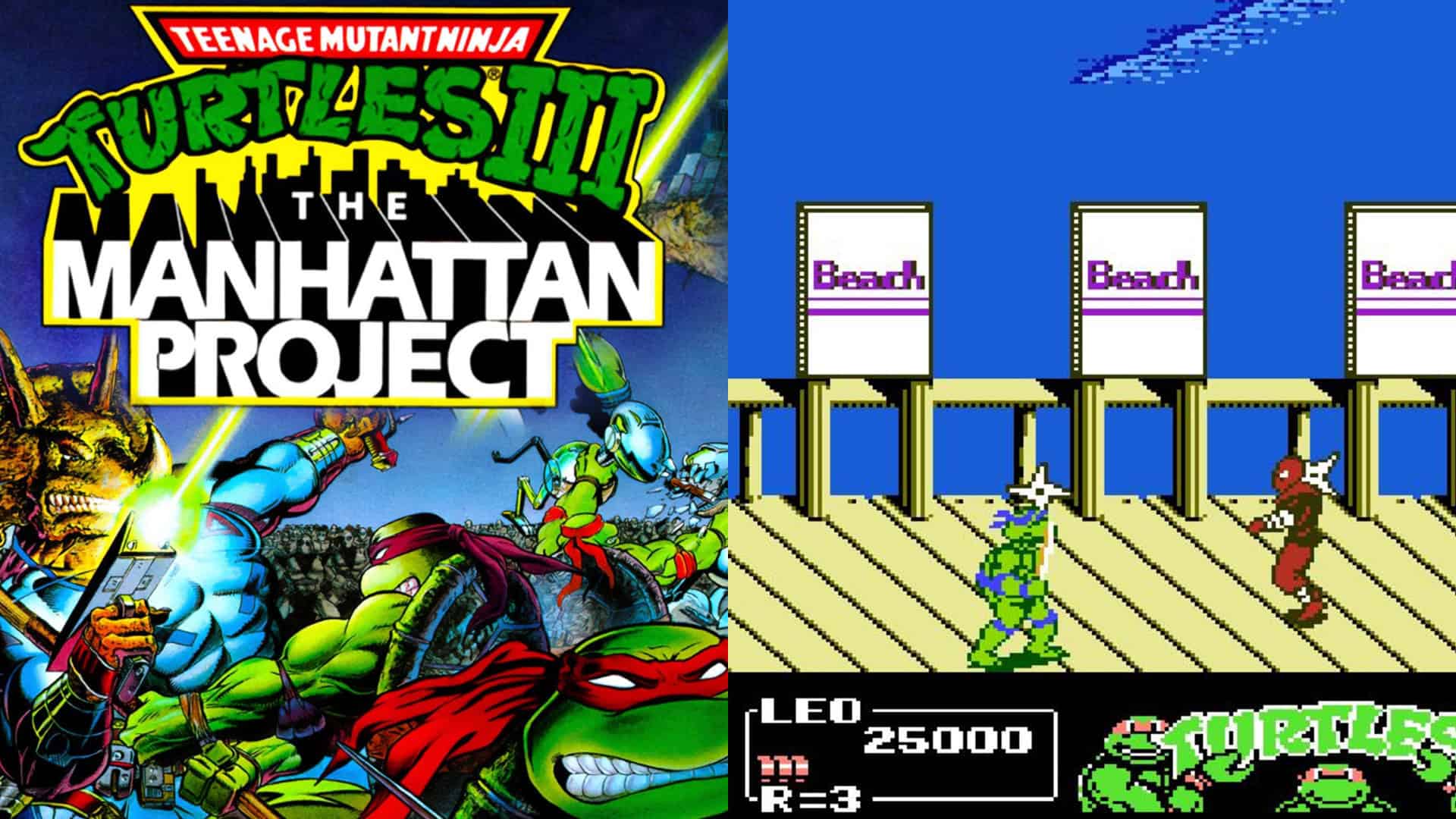 Teenage Mutant Ninja Turtles III: The Manhattan Project