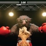 Felt That: Boxing