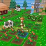 Harvest Moon: The Lost Valley/The Skytree Village