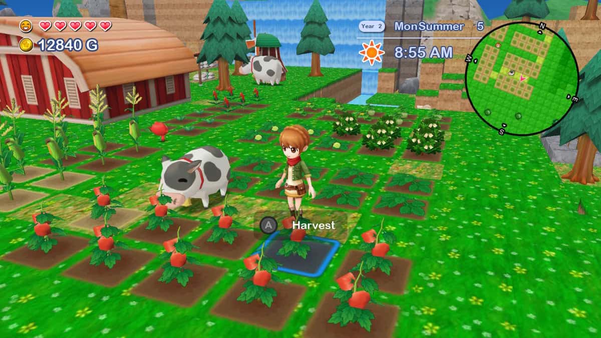 Harvest Moon: The Lost Valley/The Skytree Village