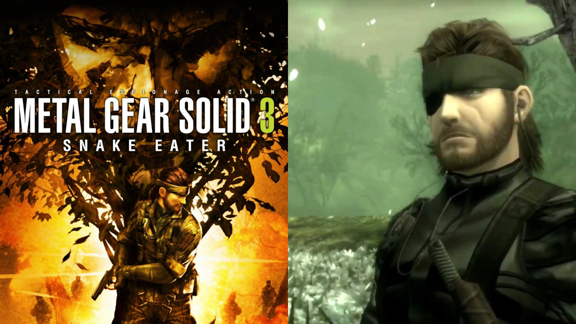 Metal Gear Solid 3: Snake Eater