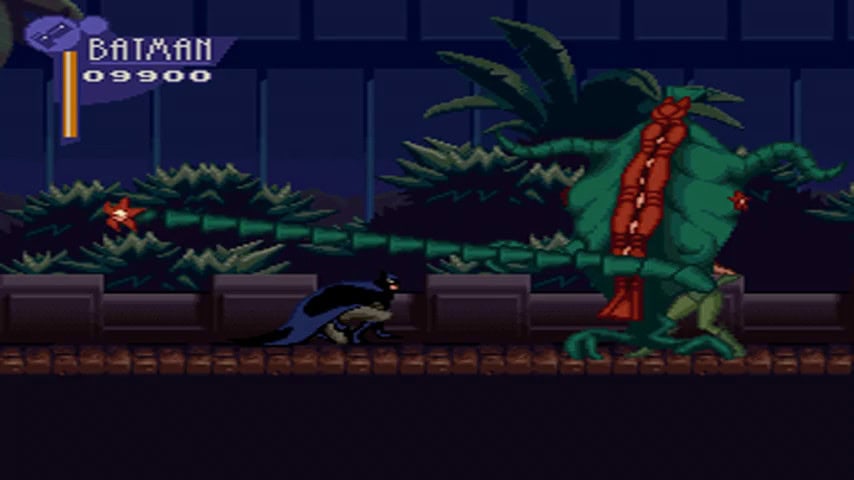 The Adventures of Batman and Robin