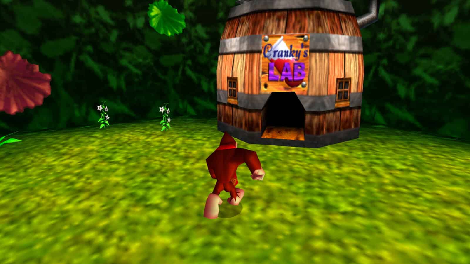 Donkey Kong 64