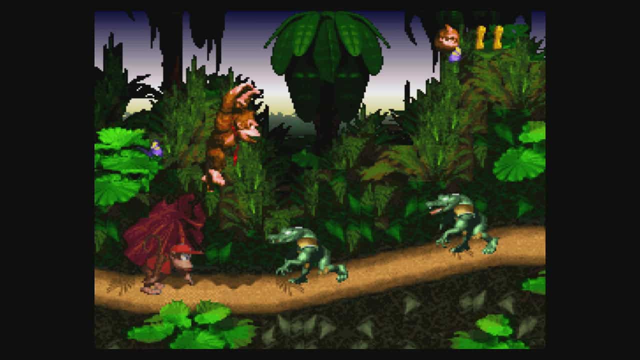 Donkey Kong Country