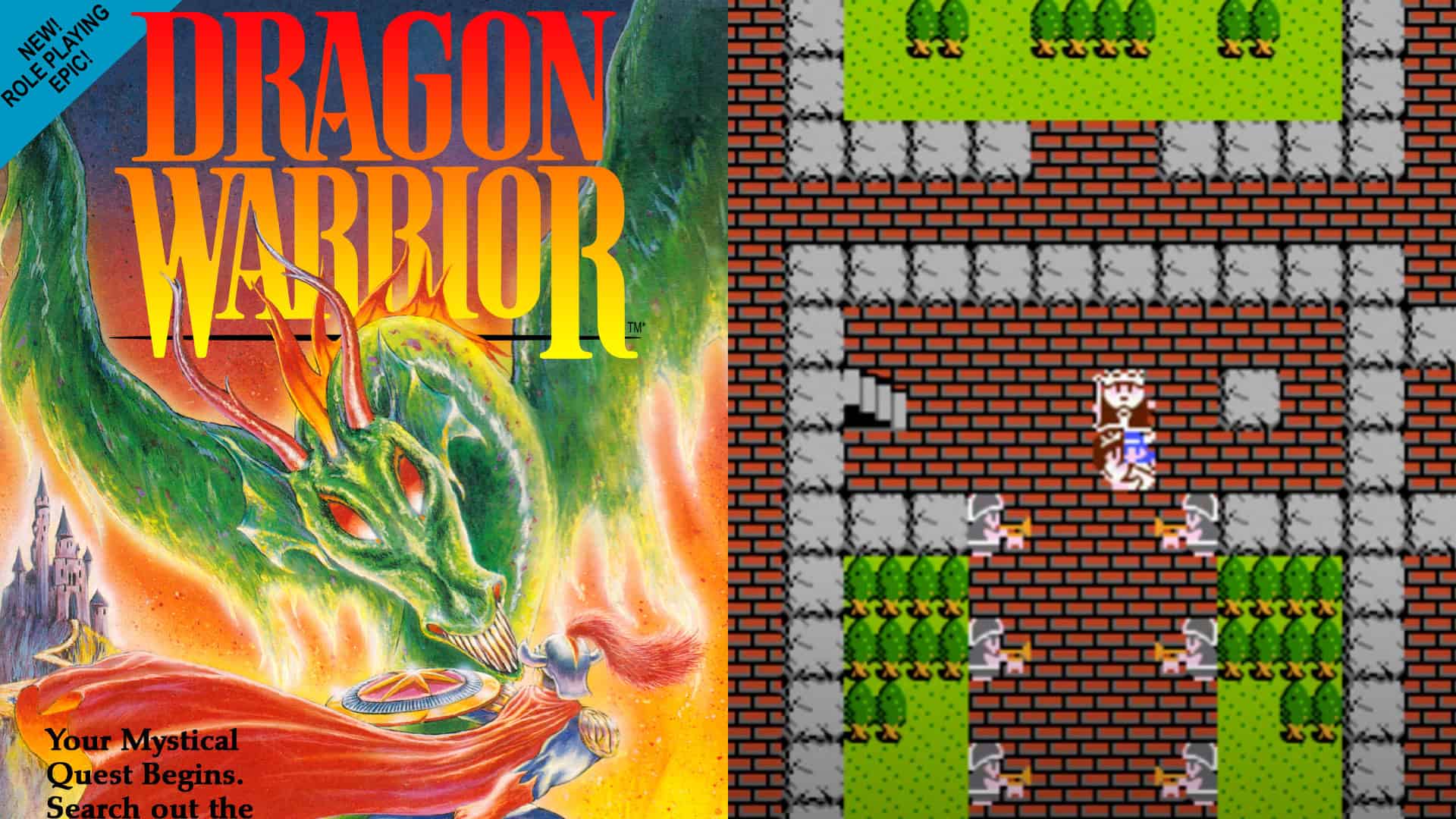 Dragon Warrior