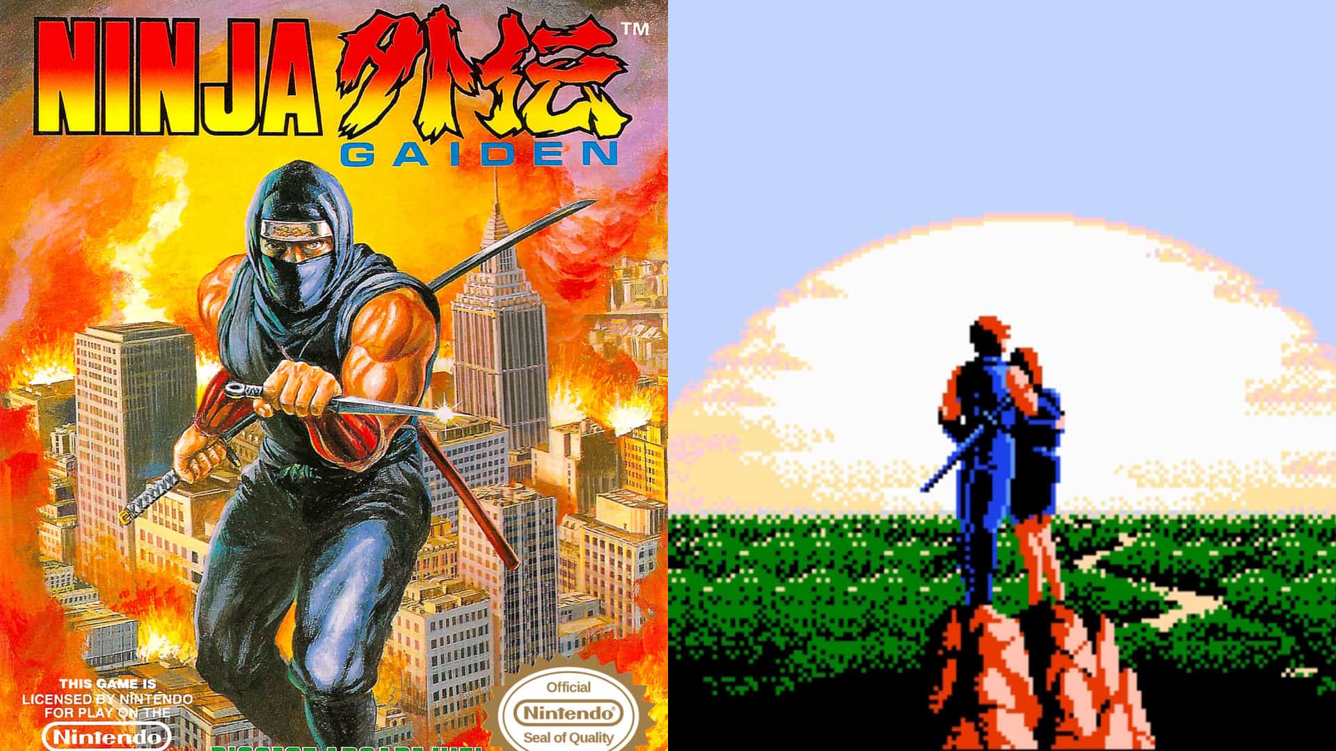 Ninja Gaiden