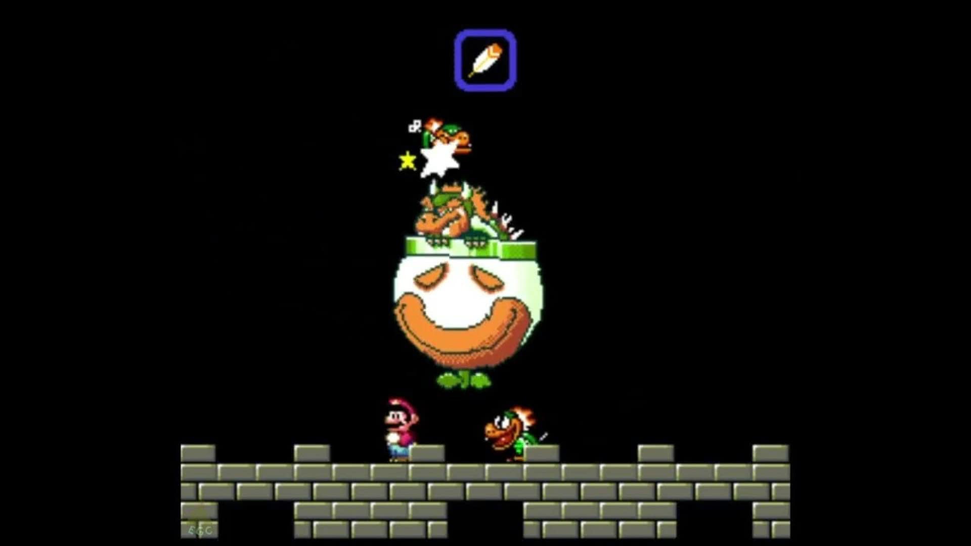 Bowser