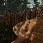 The Forest
