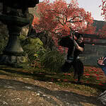 Rise of the Ronin