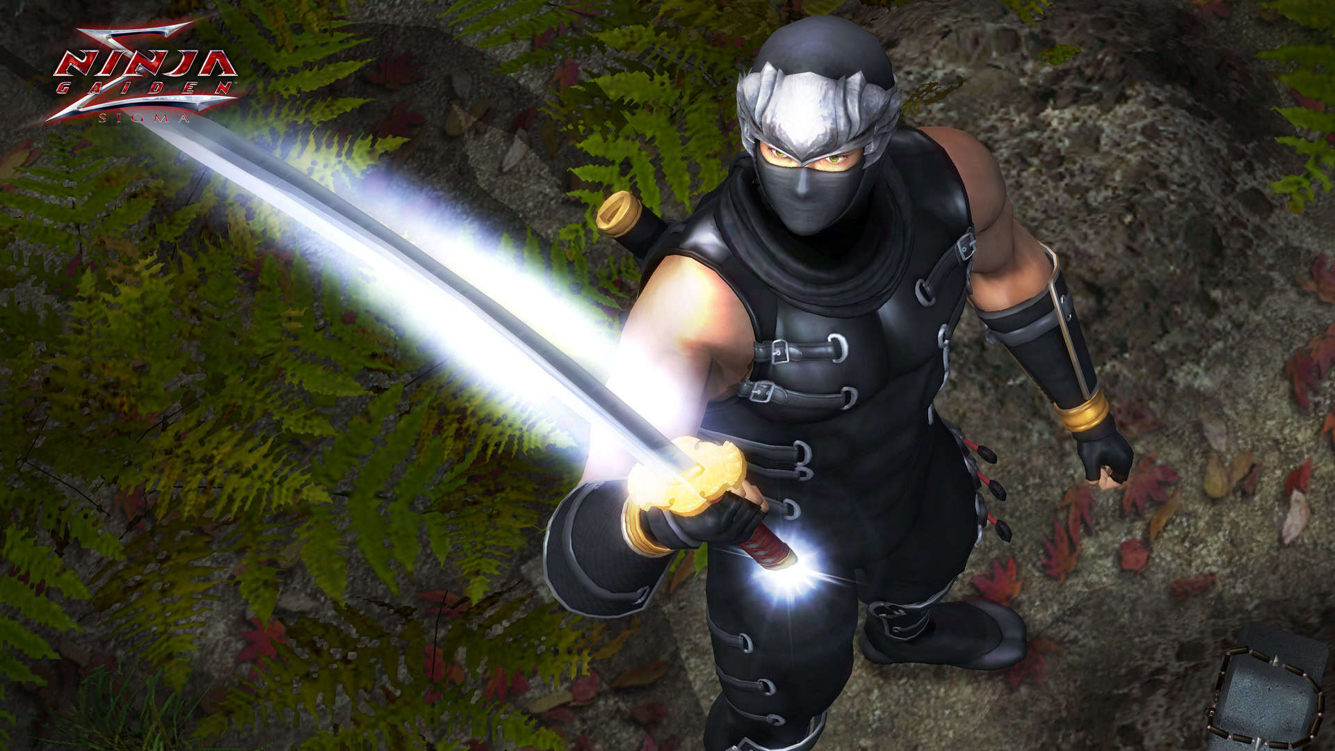 Ninja Gaiden: Master Collection Deluxe Edition