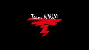 Team Ninja logo