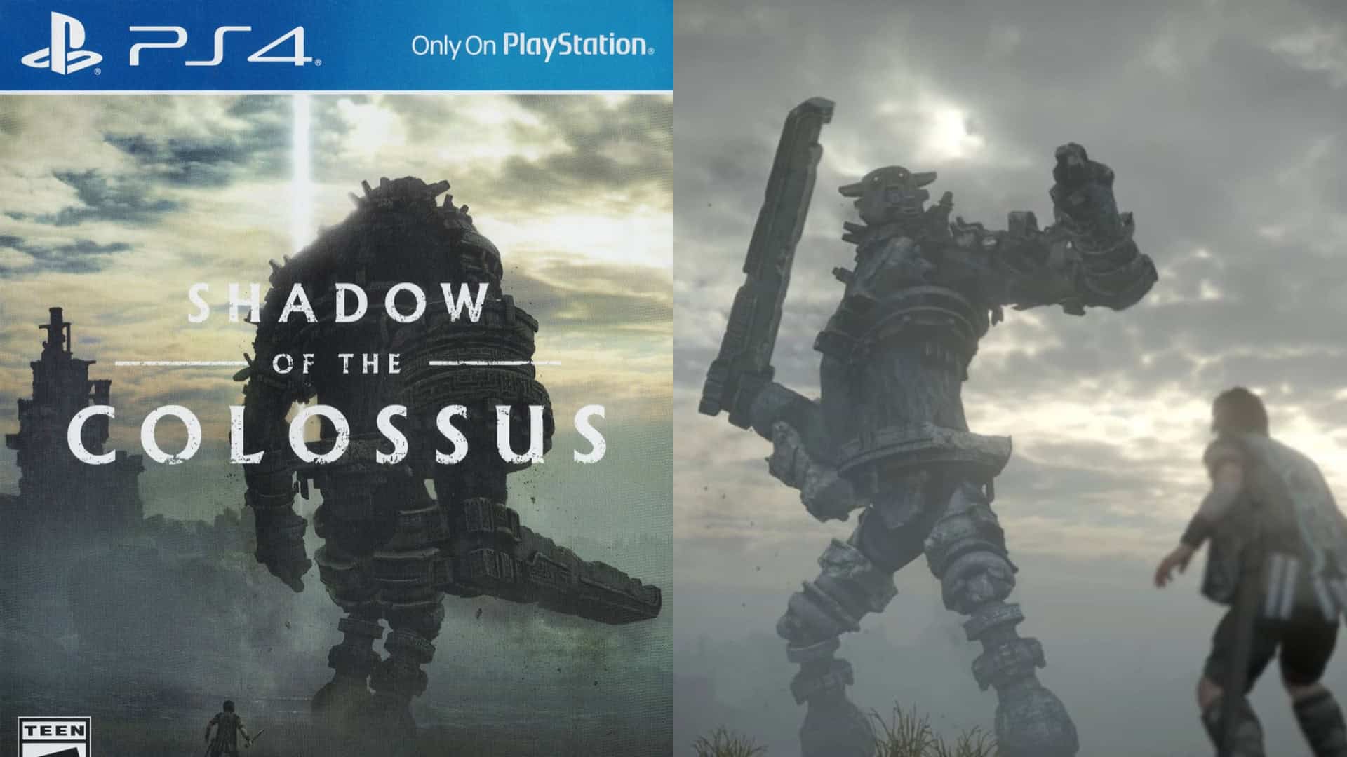 Shadow of the Colossus